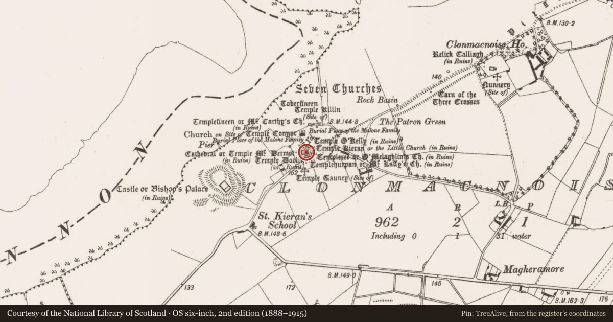 Ordnance Survey six-inch map, 2nd edition (1888–1915) covering the location of Graveslab, Clonmacnoise, County Offaly, with a pin at the register's coordinates
