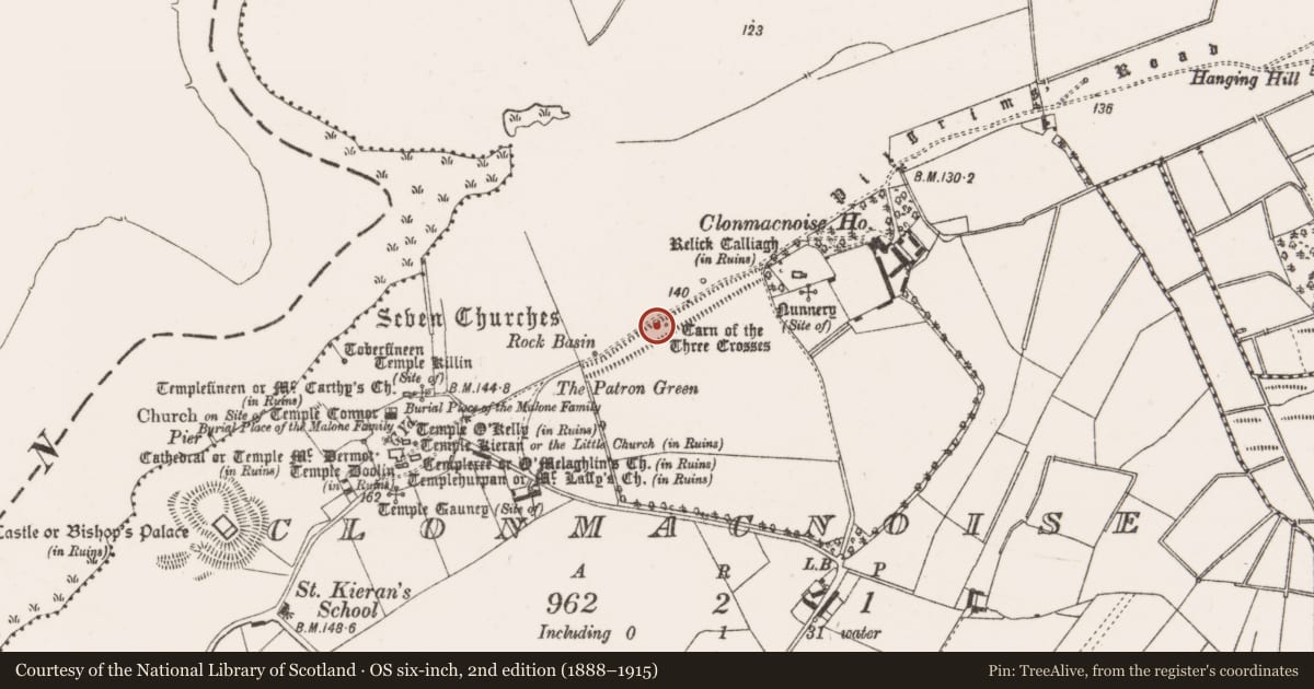 Ordnance Survey six-inch map, 2nd edition (1888–1915) covering the location of Graveslab, Clonmacnoise, County Offaly, with a pin at the register's coordinates