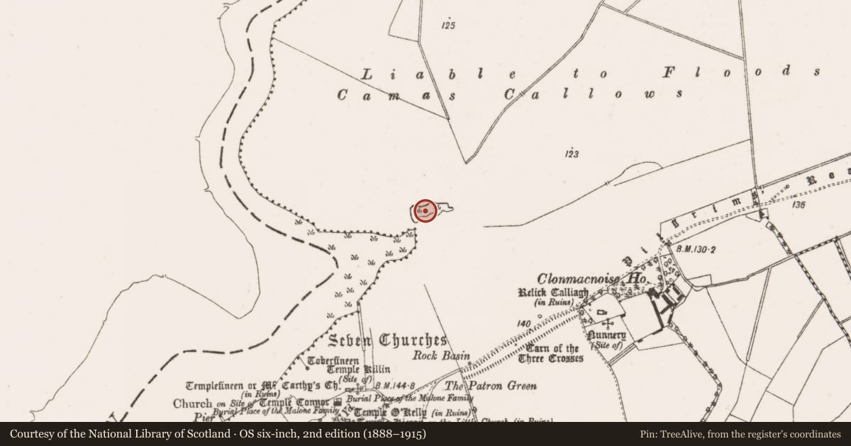 Ordnance Survey six-inch map, 2nd edition (1888–1915) covering the location of Crannog, Clonmacnoise, County Offaly, with a pin at the register's coordinates