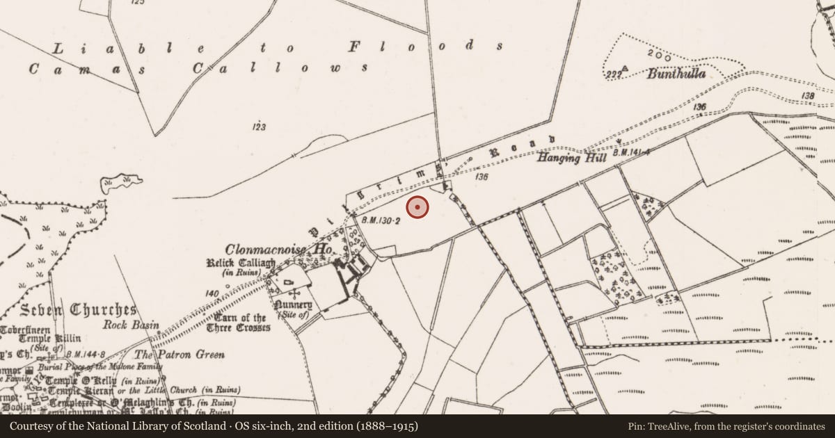 Ordnance Survey six-inch map, 2nd edition (1888–1915) covering the location of Hut site, Clonmacnoise, County Offaly, with a pin at the register's coordinates