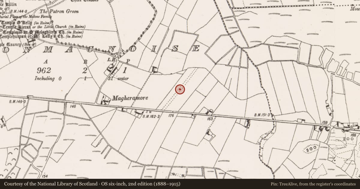 Ordnance Survey six-inch map, 2nd edition (1888–1915) covering the location of Road - road/trackway, Clonmacnoise, County Offaly, with a pin at the register's coordinates