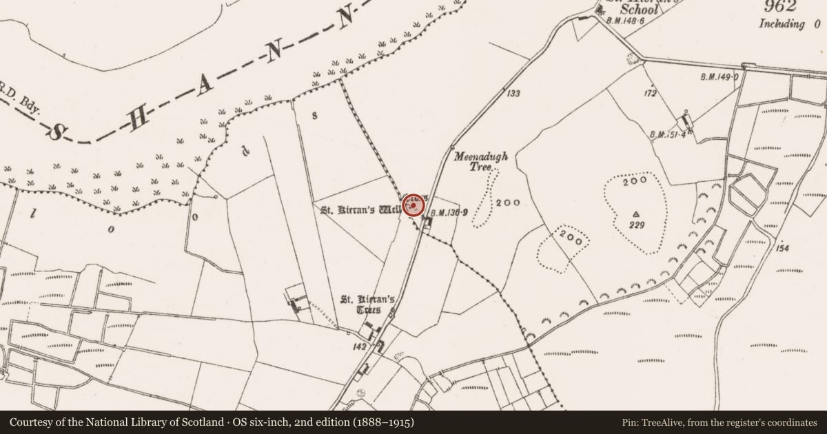 Ordnance Survey six-inch map, 2nd edition (1888–1915) covering the location of Crucifixion plaque, Clonmacnoise, County Offaly, with a pin at the register's coordinates