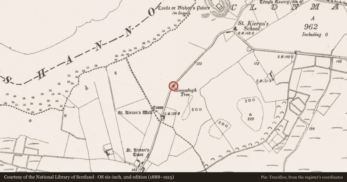 Ordnance Survey six-inch map, 2nd edition (1888–1915) covering the location of Ritual site - holy tree/bush, Clonmacnoise, County Offaly, with a pin at the register's coordinates