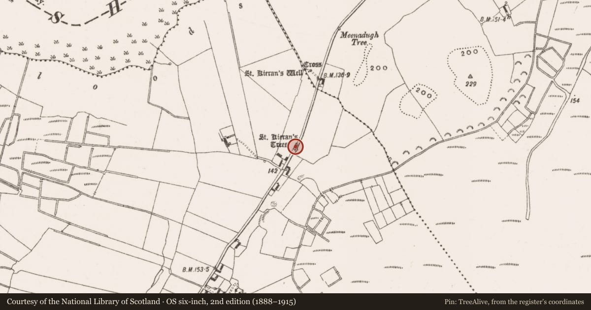 Ordnance Survey six-inch map, 2nd edition (1888–1915) covering the location of Ritual site - holy tree/bush, Creevagh, County Offaly, with a pin at the register's coordinates