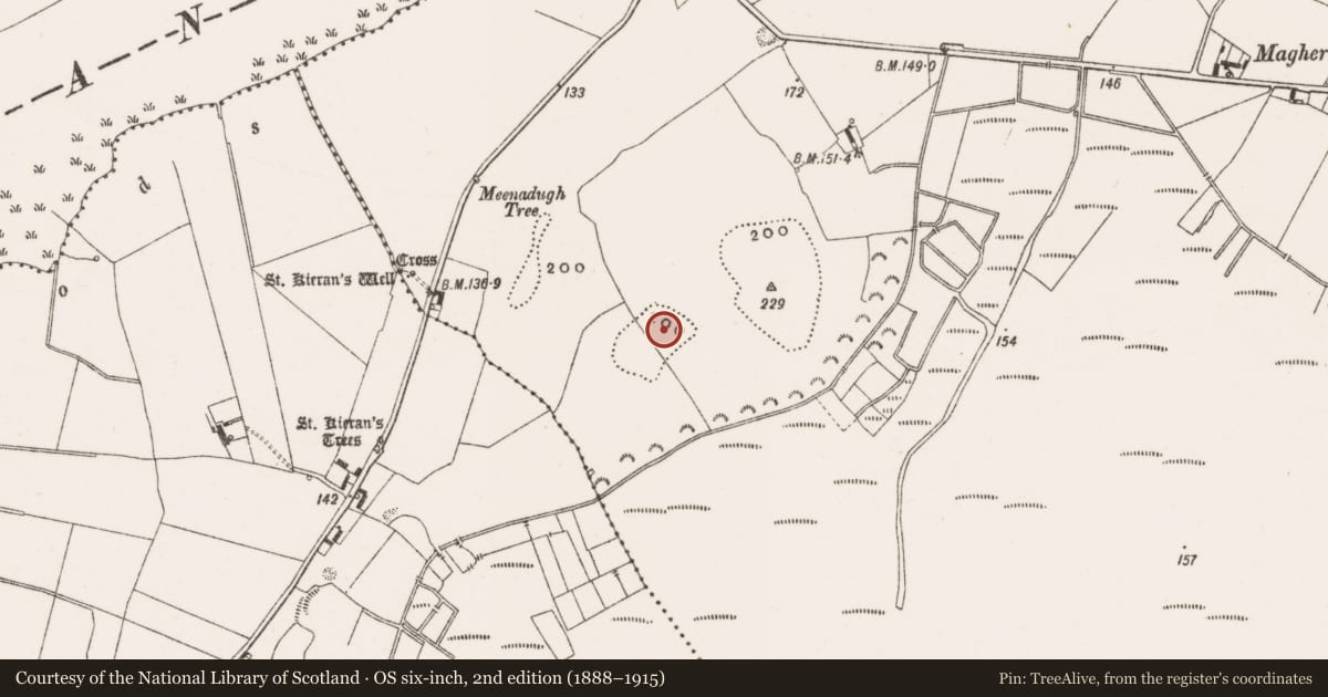 Ordnance Survey six-inch map, 2nd edition (1888–1915) covering the location of Field system, Clonmacnoise, County Offaly, with a pin at the register's coordinates