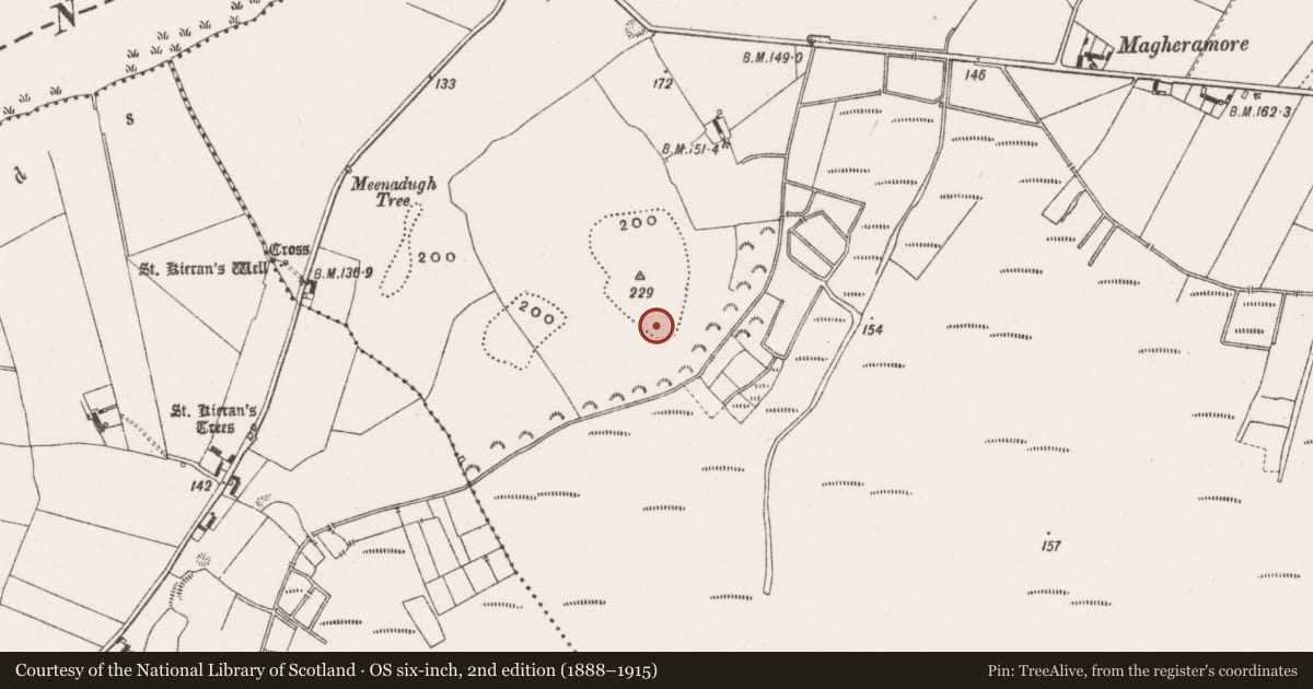 Ordnance Survey six-inch map, 2nd edition (1888–1915) covering the location of Souterrain, Clonmacnoise, County Offaly, with a pin at the register's coordinates