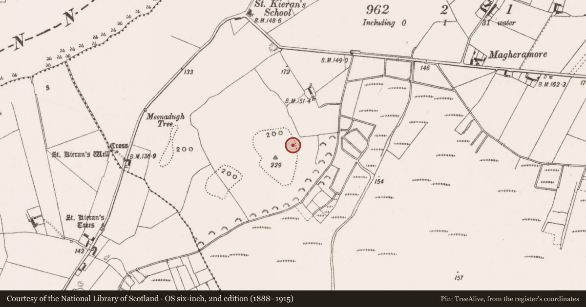 Ordnance Survey six-inch map, 2nd edition (1888–1915) covering the location of Enclosure, Clonmacnoise, County Offaly, with a pin at the register's coordinates
