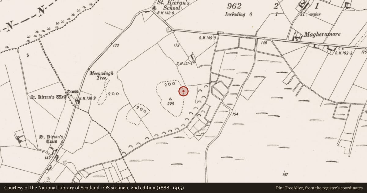 Ordnance Survey six-inch map, 2nd edition (1888–1915) covering the location of Souterrain, Clonmacnoise, County Offaly, with a pin at the register's coordinates