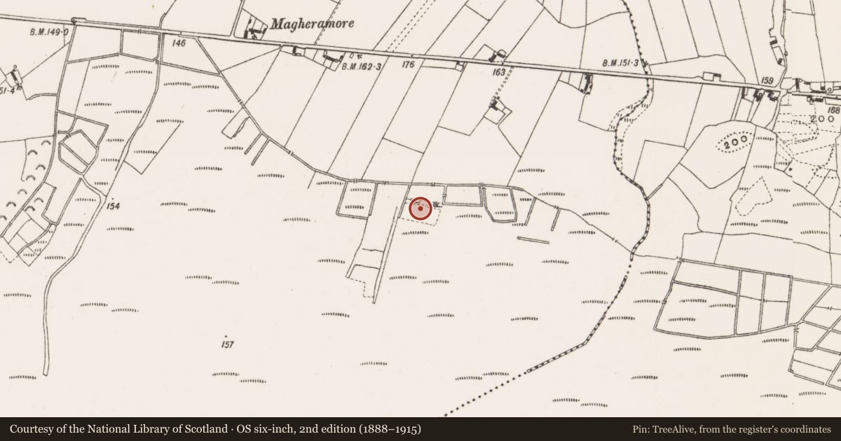 Ordnance Survey six-inch map, 2nd edition (1888–1915) covering the location of Field system, Clonmacnoise, County Offaly, with a pin at the register's coordinates