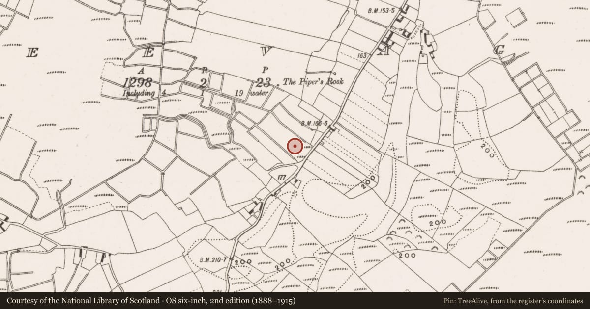 Ordnance Survey six-inch map, 2nd edition (1888–1915) covering the location of Souterrain, Creevagh, County Offaly, with a pin at the register's coordinates