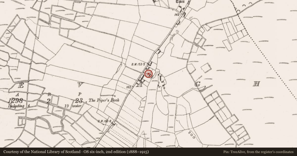 Ordnance Survey six-inch map, 2nd edition (1888–1915) covering the location of Well, Creevagh, County Offaly, with a pin at the register's coordinates