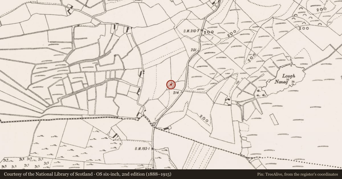 Ordnance Survey six-inch map, 2nd edition (1888–1915) covering the location of Ringfort - unclassified, Creevagh, County Offaly, with a pin at the register's coordinates