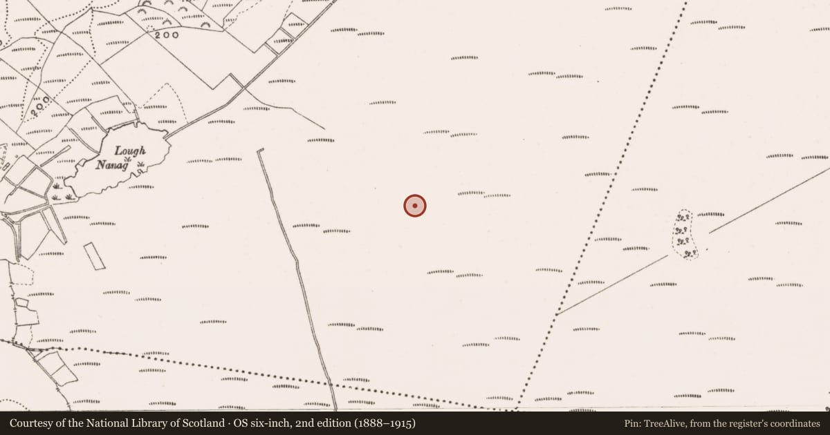 Ordnance Survey six-inch map, 2nd edition (1888–1915) covering the location of Post row - peatland, Creevagh, County Offaly, with a pin at the register's coordinates