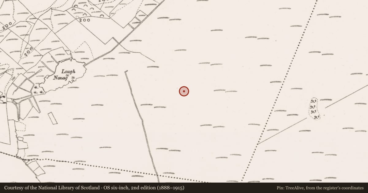 Ordnance Survey six-inch map, 2nd edition (1888–1915) covering the location of Structure - peatland, Creevagh, County Offaly, with a pin at the register's coordinates