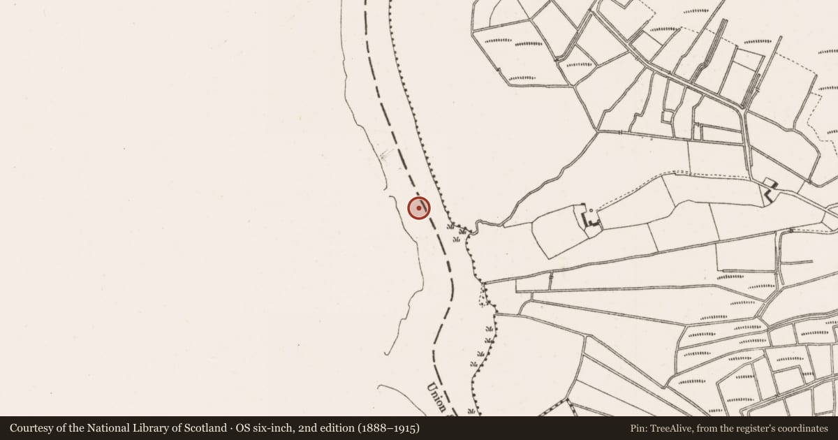 Ordnance Survey six-inch map, 2nd edition (1888–1915) covering the location of Ford, Creevagh, County Offaly, with a pin at the register's coordinates