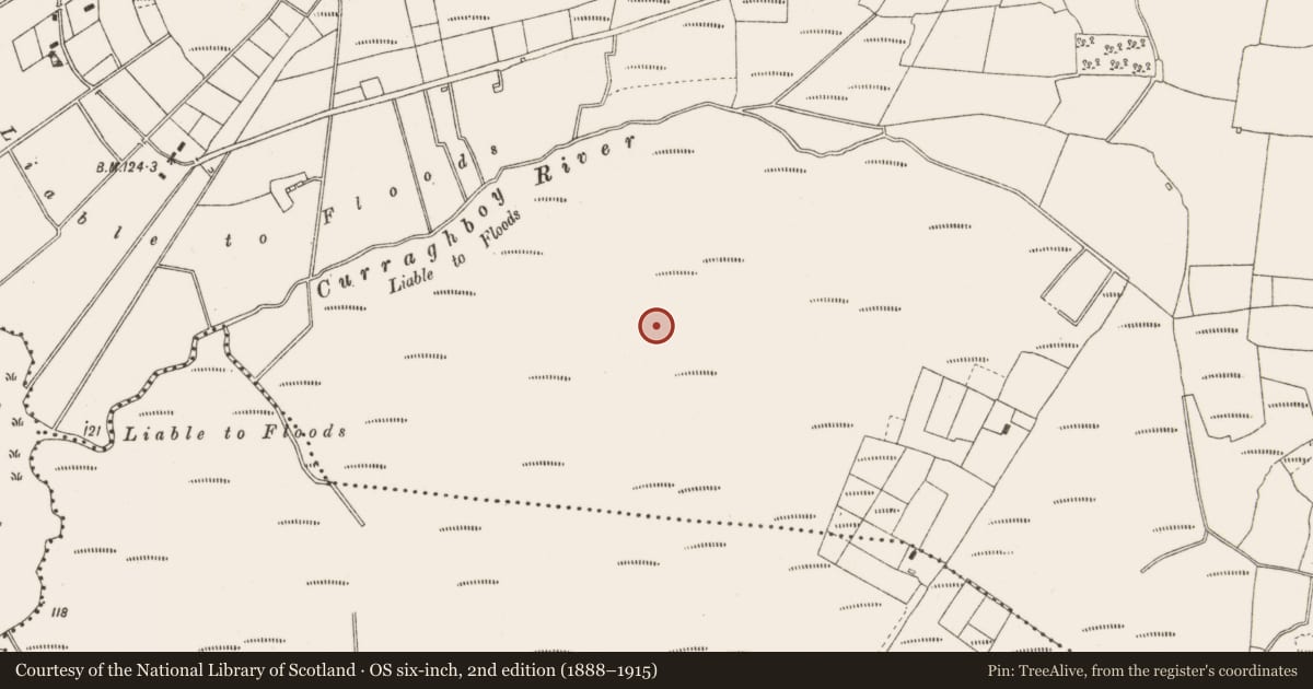 Ordnance Survey six-inch map, 2nd edition (1888–1915) covering the location of Structure - peatland, Cloncraff Or Bloomhill, County Offaly, with a pin at the register's coordinates