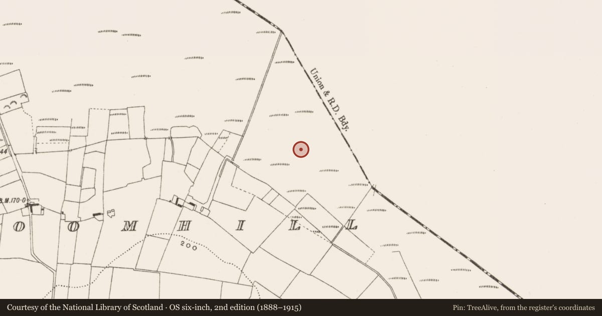 Ordnance Survey six-inch map, 2nd edition (1888–1915) covering the location of Road - class 3 togher, Cloncraff Or Bloomhill, County Offaly, with a pin at the register's coordinates