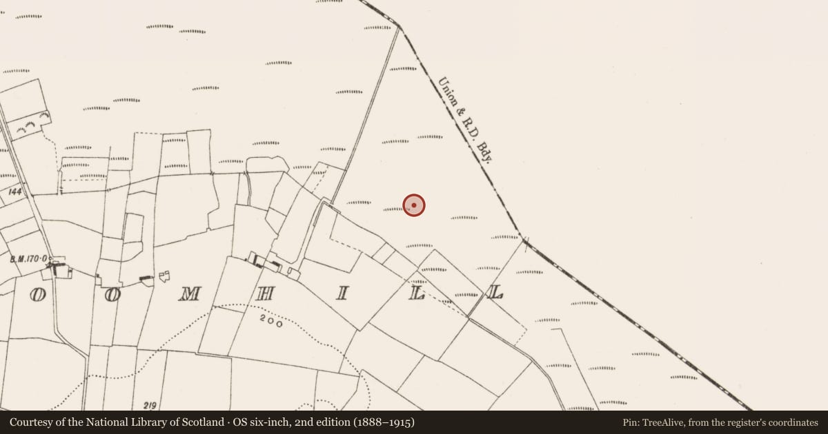 Ordnance Survey six-inch map, 2nd edition (1888–1915) covering the location of Road - class 3 togher, Cloncraff Or Bloomhill, County Offaly, with a pin at the register's coordinates
