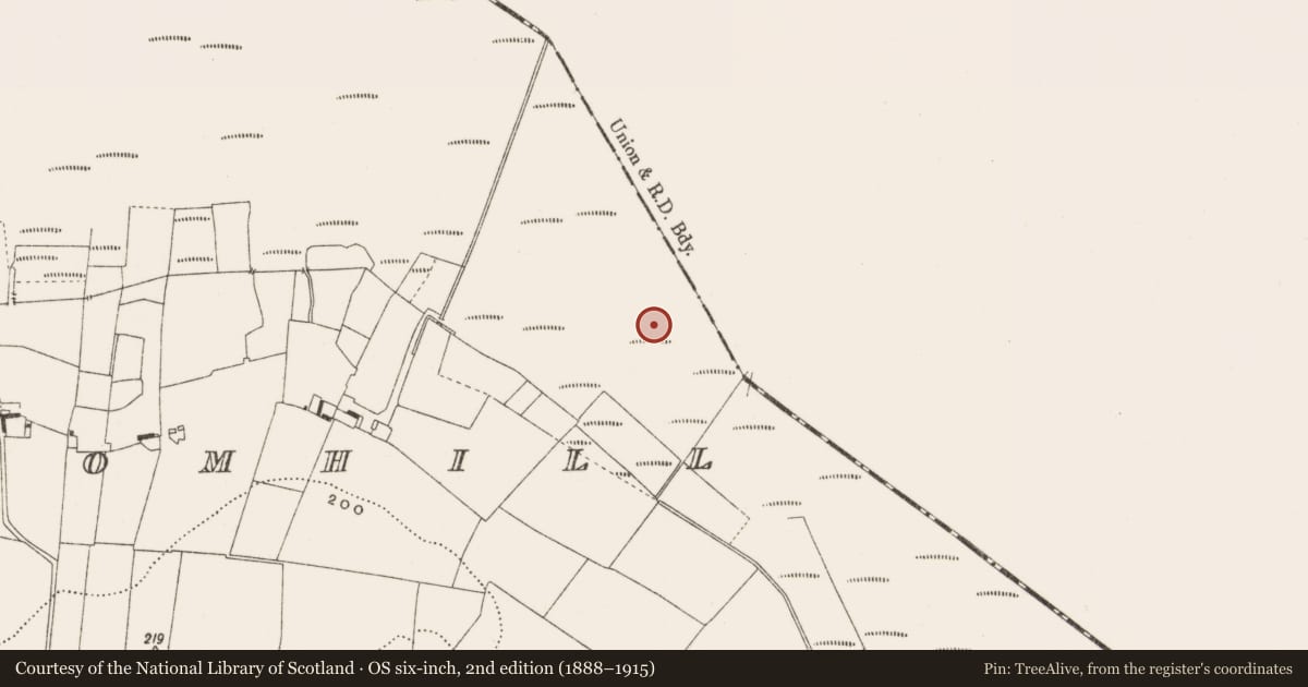 Ordnance Survey six-inch map, 2nd edition (1888–1915) covering the location of Road - class 2 togher, Cloncraff Or Bloomhill, County Offaly, with a pin at the register's coordinates