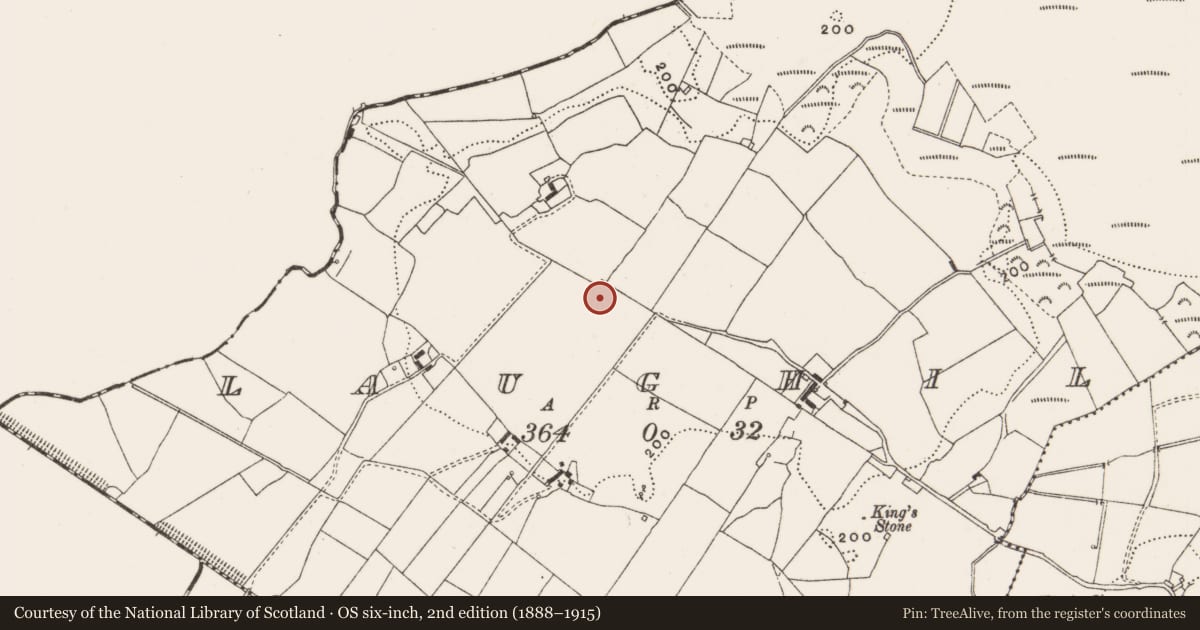 Ordnance Survey six-inch map, 2nd edition (1888–1915) covering the location of Enclosure, Laughil, County Offaly, with a pin at the register's coordinates