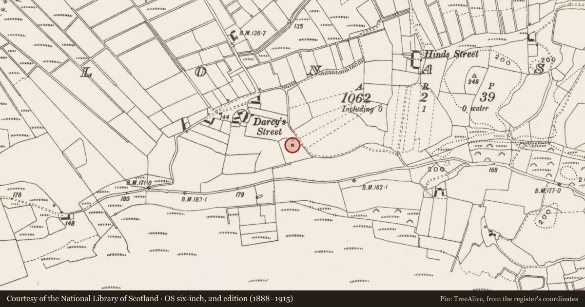 Ordnance Survey six-inch map, 2nd edition (1888–1915) covering the location of Ritual site - holy tree/bush, Clonascra, County Offaly, with a pin at the register's coordinates