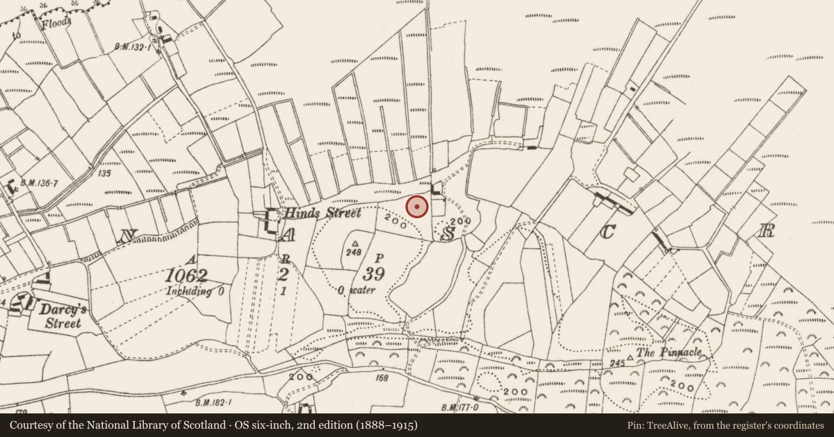 Ordnance Survey six-inch map, 2nd edition (1888–1915) covering the location of Hut site, Clonascra, County Offaly, with a pin at the register's coordinates