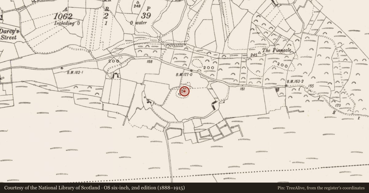 Ordnance Survey six-inch map, 2nd edition (1888–1915) covering the location of Mound, Clonascra, County Offaly, with a pin at the register's coordinates