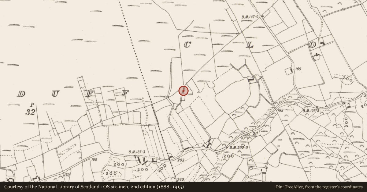 Ordnance Survey six-inch map, 2nd edition (1888–1915) covering the location of Enclosure, Clonaderg, County Offaly, with a pin at the register's coordinates