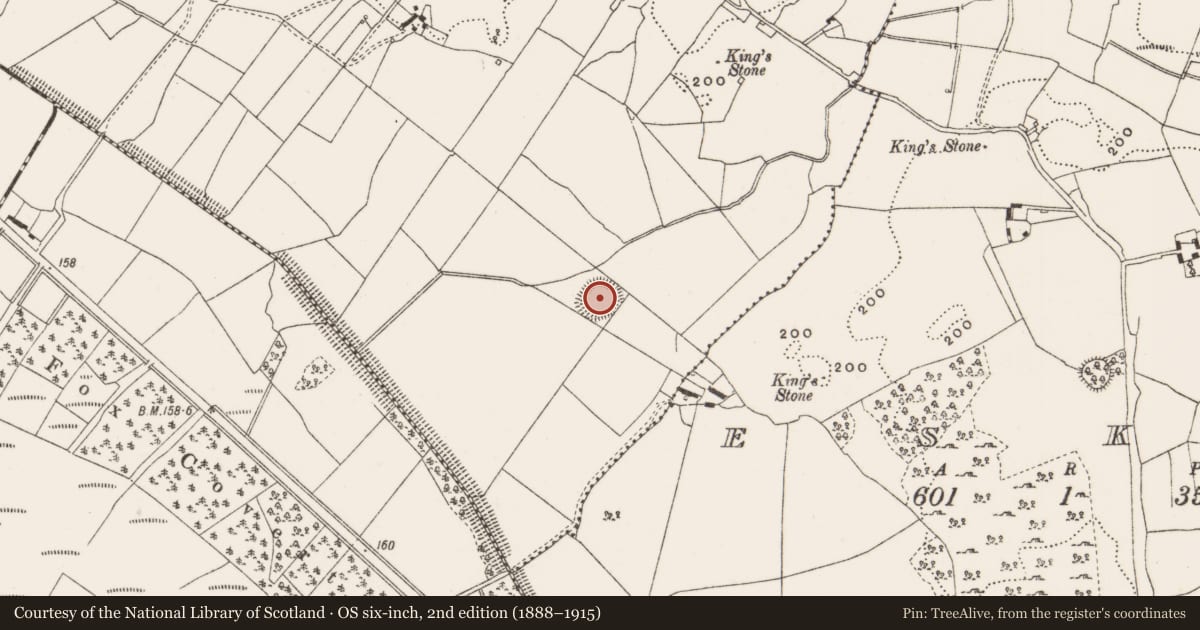 Ordnance Survey six-inch map, 2nd edition (1888–1915) covering the location of Ringfort - rath, Laughil, County Offaly, with a pin at the register's coordinates