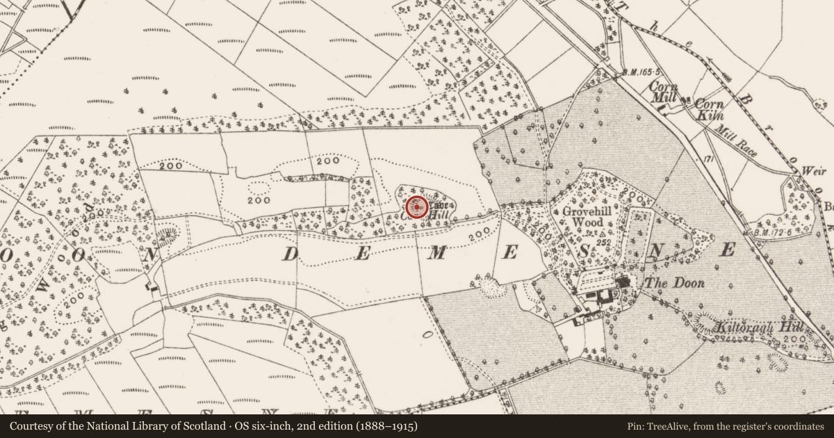 Ordnance Survey six-inch map, 2nd edition (1888–1915) covering the location of Souterrain, Doon Demesne, County Offaly, with a pin at the register's coordinates