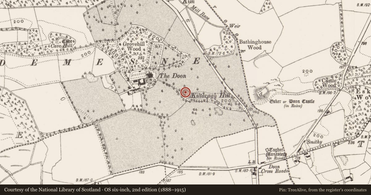 Ordnance Survey six-inch map, 2nd edition (1888–1915) covering the location of Ringfort - rath, Doon Demesne, County Offaly, with a pin at the register's coordinates