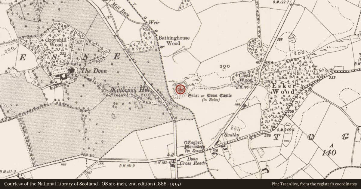 Ordnance Survey six-inch map, 2nd edition (1888–1915) covering the location of Sheela-na-gig, Esker, County Offaly, with a pin at the register's coordinates