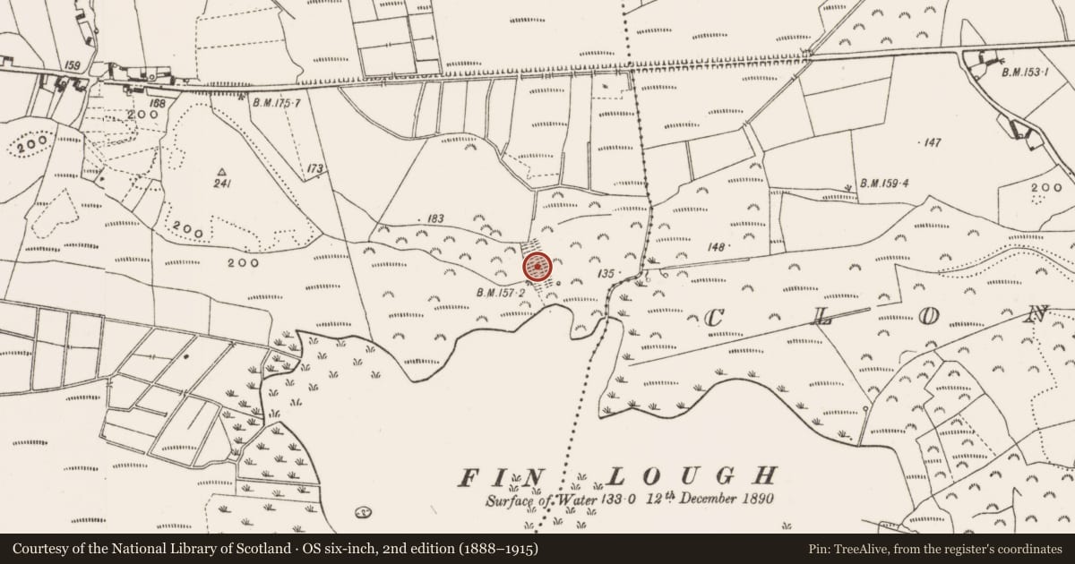 Ordnance Survey six-inch map, 2nd edition (1888–1915) covering the location of Linear earthwork, Tullaghbeg, County Offaly, with a pin at the register's coordinates