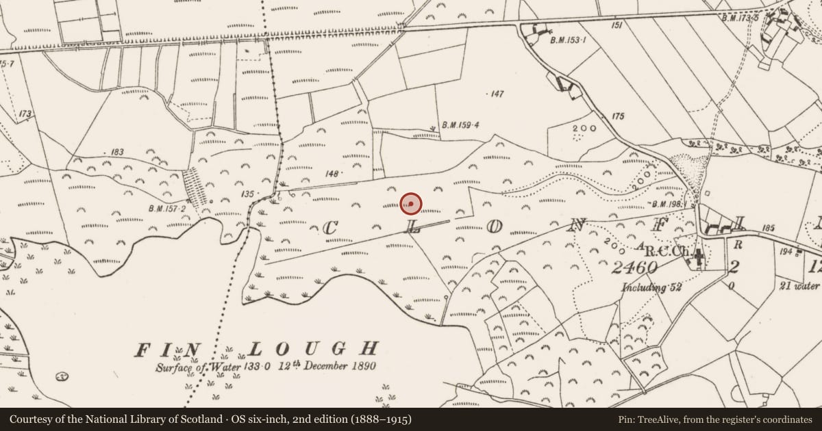 Ordnance Survey six-inch map, 2nd edition (1888–1915) covering the location of Enclosure, Clonfinlough, County Offaly, with a pin at the register's coordinates