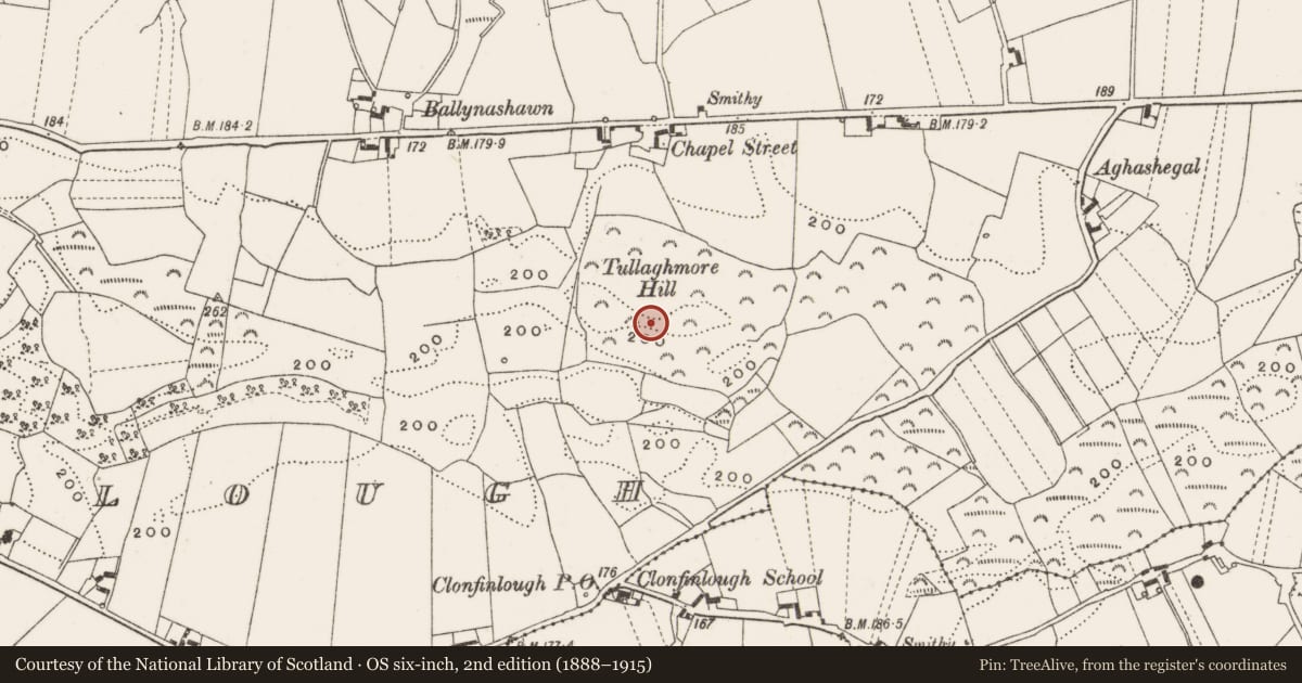 Ordnance Survey six-inch map, 2nd edition (1888–1915) covering the location of Hut site, Clonfinlough, County Offaly, with a pin at the register's coordinates