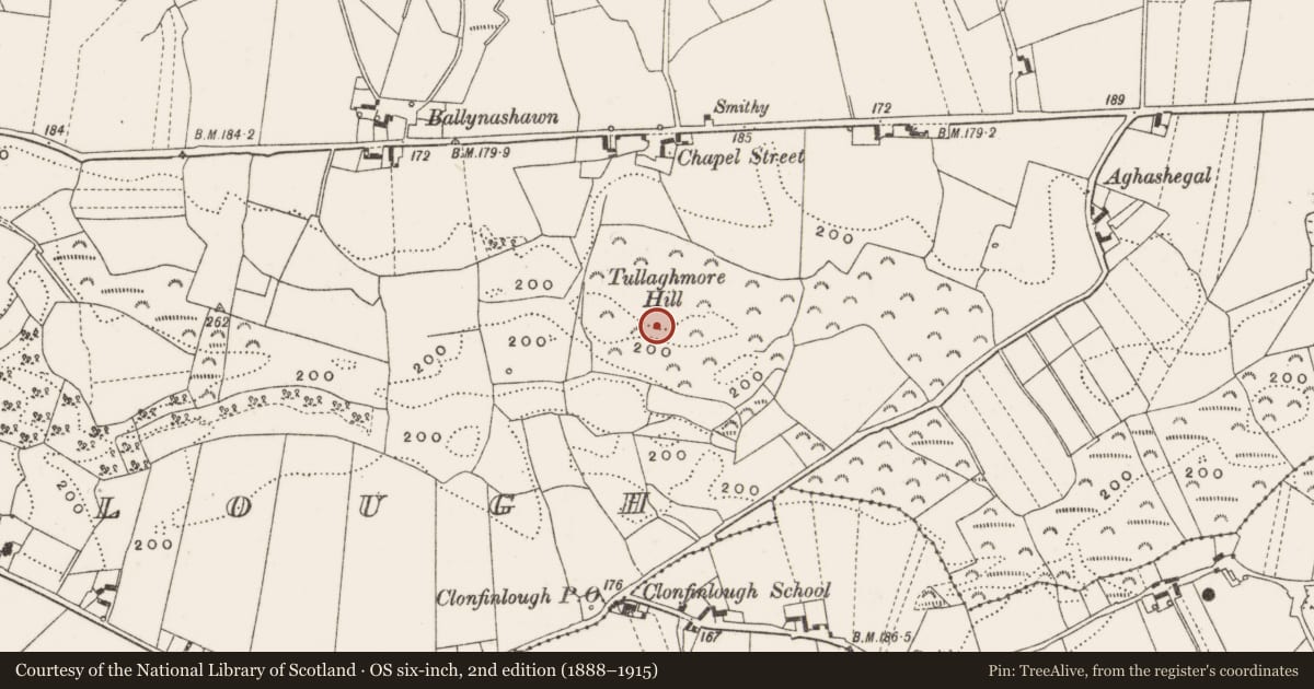 Ordnance Survey six-inch map, 2nd edition (1888–1915) covering the location of Cultivation ridges, Clonfinlough, County Offaly, with a pin at the register's coordinates