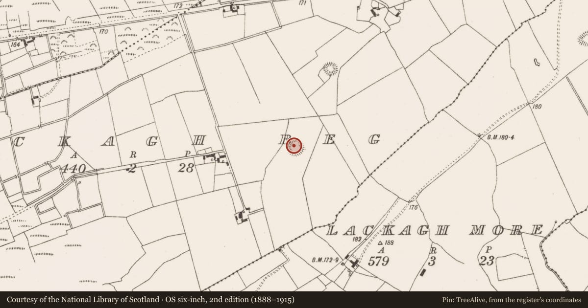 Ordnance Survey six-inch map, 2nd edition (1888–1915) covering the location of Ringfort - rath, Lackagh Beg, County Offaly, with a pin at the register's coordinates