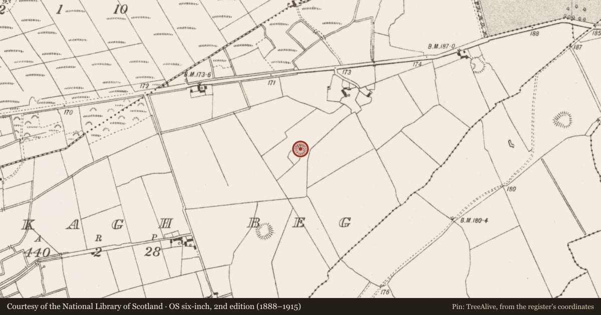 Ordnance Survey six-inch map, 2nd edition (1888–1915) covering the location of Ringfort - rath, Lackagh Beg, County Offaly, with a pin at the register's coordinates