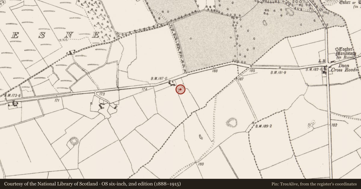 Ordnance Survey six-inch map, 2nd edition (1888–1915) covering the location of Ringfort - rath, Lackagh Beg, County Offaly, with a pin at the register's coordinates