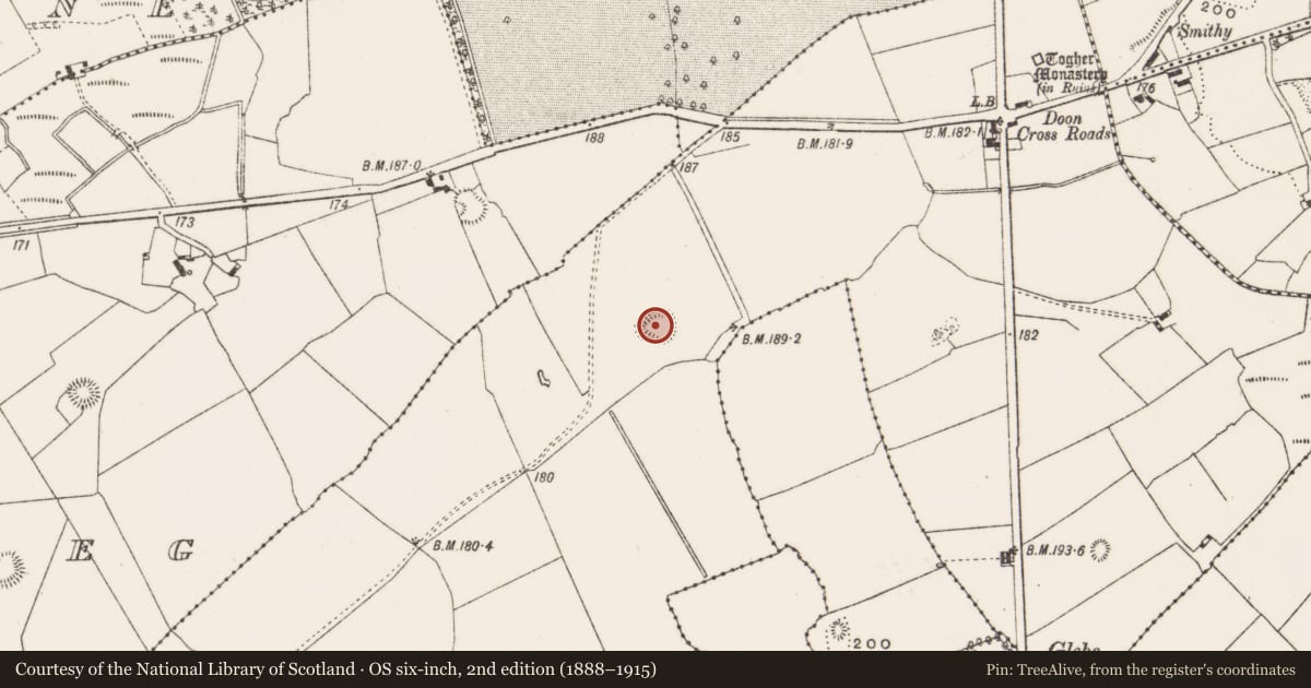 Ordnance Survey six-inch map, 2nd edition (1888–1915) covering the location of Ringfort - rath, Lackagh More, County Offaly, with a pin at the register's coordinates