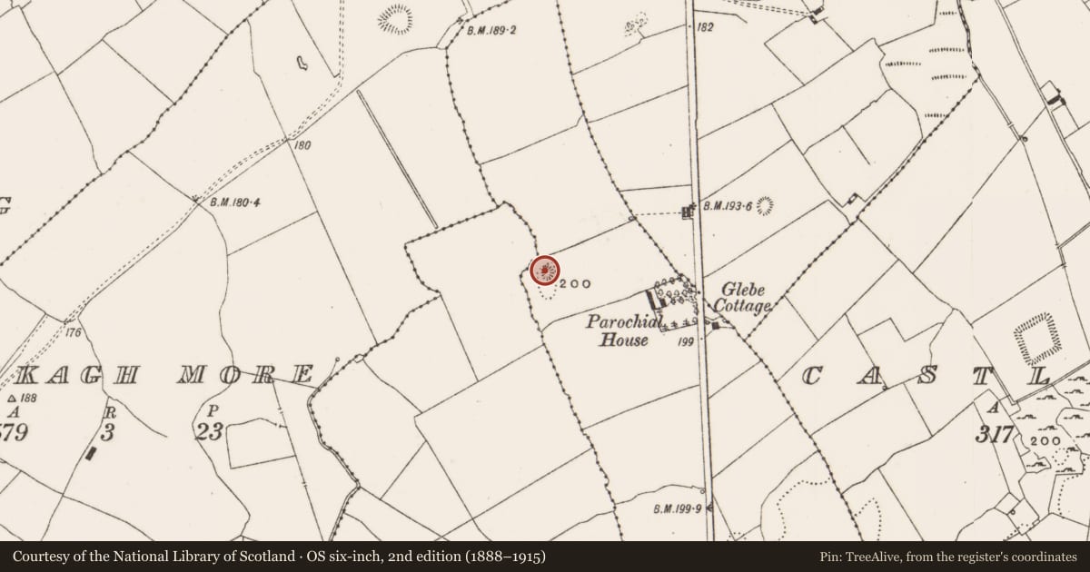 Ordnance Survey six-inch map, 2nd edition (1888–1915) covering the location of Enclosure, Glebe, County Offaly, with a pin at the register's coordinates