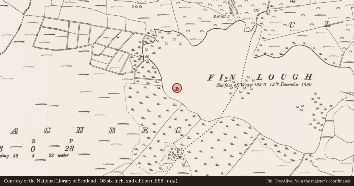Ordnance Survey six-inch map, 2nd edition (1888–1915) covering the location of Crannog, Tullaghbeg, County Offaly, with a pin at the register's coordinates