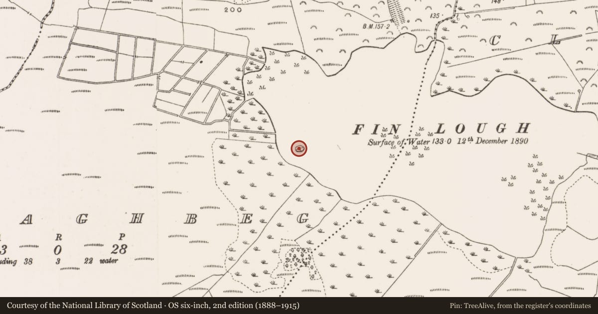 Ordnance Survey six-inch map, 2nd edition (1888–1915) covering the location of Causeway, Tullaghbeg, County Offaly, with a pin at the register's coordinates