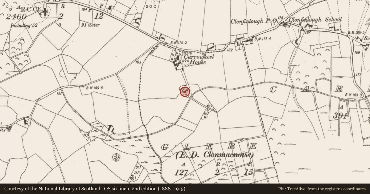 Ordnance Survey six-inch map, 2nd edition (1888–1915) covering the location of Designed landscape - tree-ring, Glebe, County Offaly, with a pin at the register's coordinates