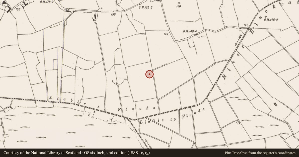 Ordnance Survey six-inch map, 2nd edition (1888–1915) covering the location of Enclosure, Clongawny, County Offaly, with a pin at the register's coordinates