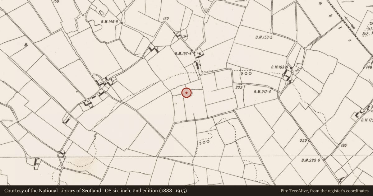 Ordnance Survey six-inch map, 2nd edition (1888–1915) covering the location of Enclosure, Endrim, County Offaly, with a pin at the register's coordinates