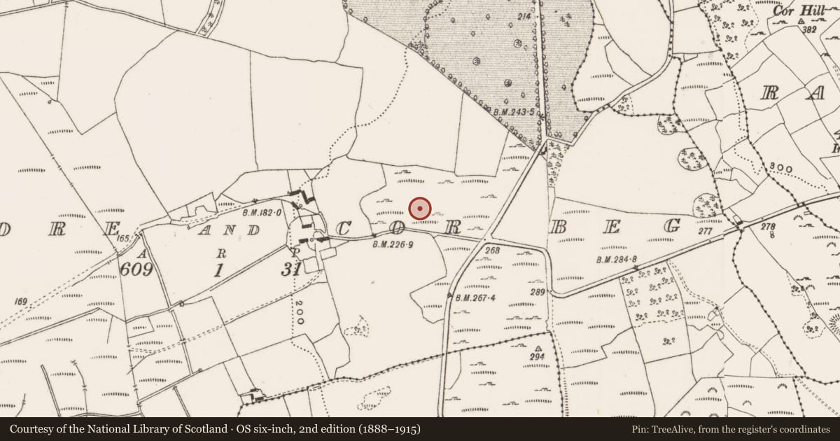 Ordnance Survey six-inch map, 2nd edition (1888–1915) covering the location of Enclosure, Cor More And Cor Beg, County Offaly, with a pin at the register's coordinates