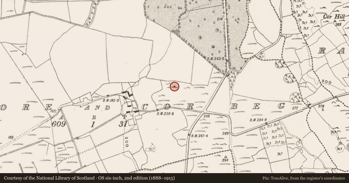 Ordnance Survey six-inch map, 2nd edition (1888–1915) covering the location of Enclosure, Cor More And Cor Beg, County Offaly, with a pin at the register's coordinates