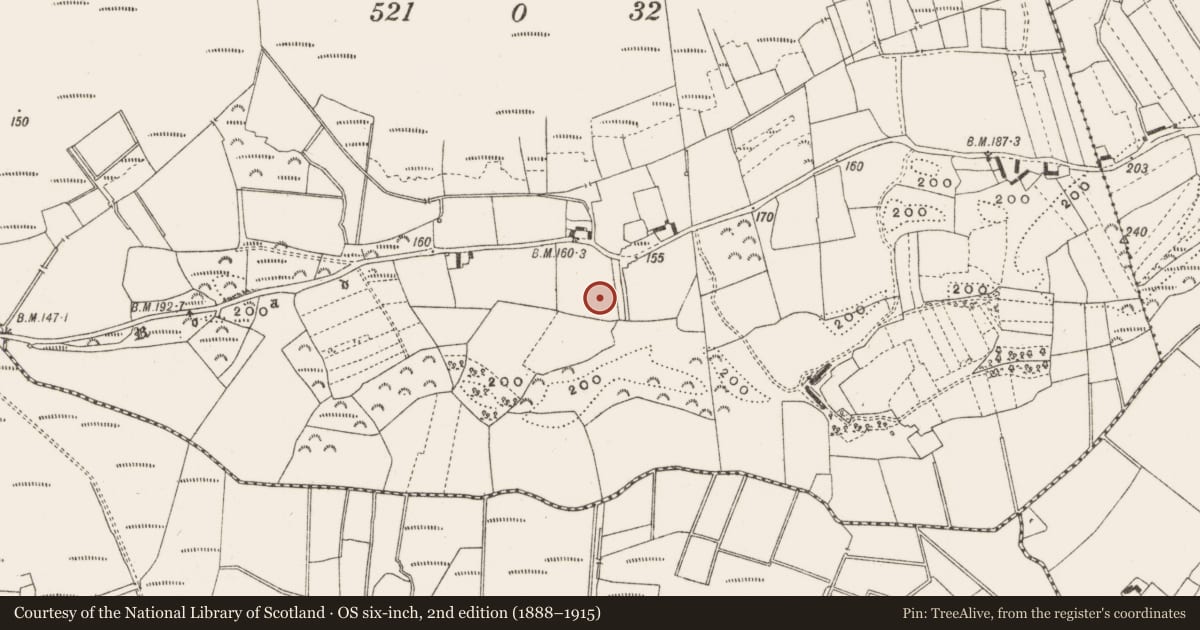 Ordnance Survey six-inch map, 2nd edition (1888–1915) covering the location of Enclosure, Ballyduff, County Offaly, with a pin at the register's coordinates