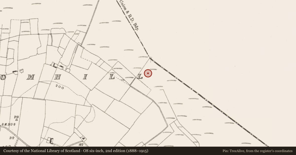 Ordnance Survey six-inch map, 2nd edition (1888–1915) covering the location of Road - class 2 togher, Cloncraff Or Bloomhill, County Offaly, with a pin at the register's coordinates